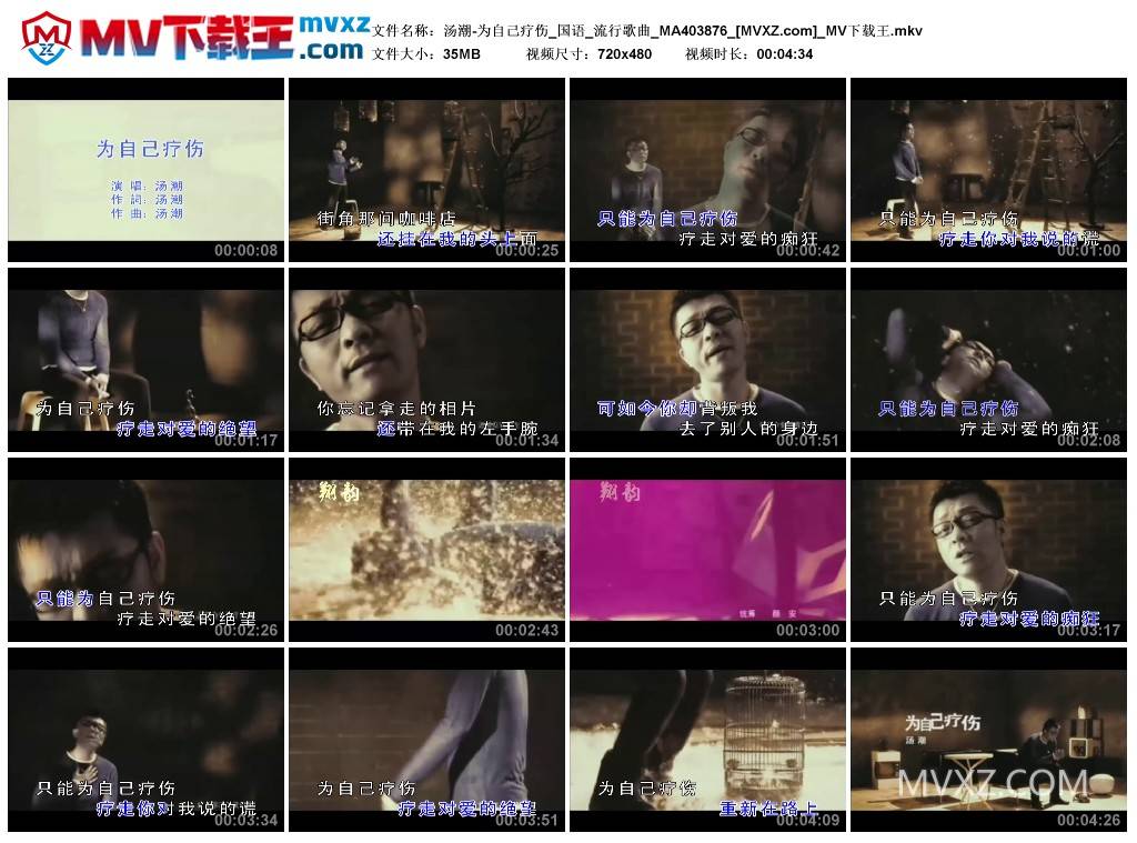 汤潮-为自己疗伤_国语_流行歌曲_MA403876